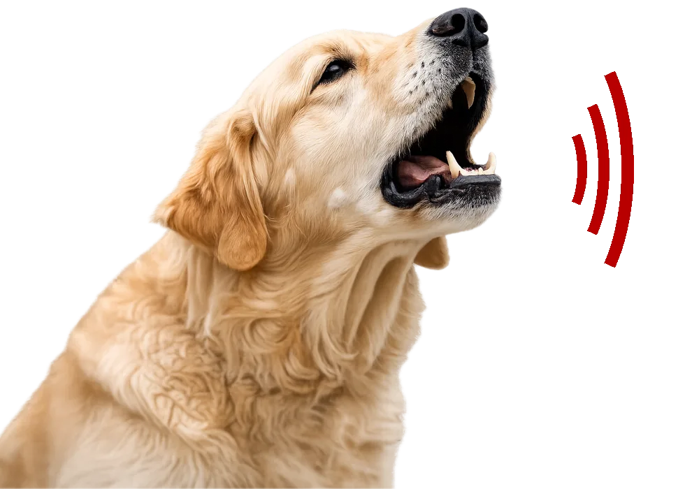 Dog barking with red sound waves representing a barking dog alarm deterrent cue